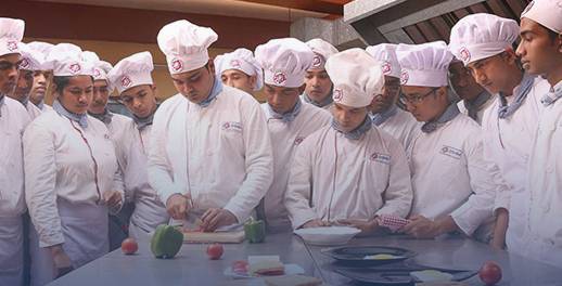 Dolphin / Diploma in Culinary Science-img