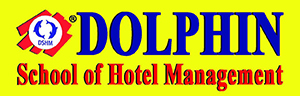 Dolphon logo